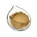 Top Quality Pure Bulk Cinnamon  Cassia Powder For Free Sample